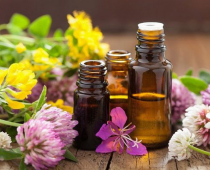 Tạo Không Gian Sống Tươi Mới Với Tinh Dầu Thiên Nhiên