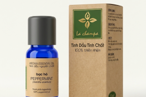 Tinh Dầu Bạc Hà Peppermint