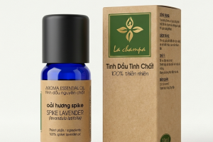 Tinh Dầu Hoa Oải Hương Spike