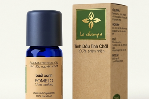 Vỏ Bưởi Xanh Pomelo Oil