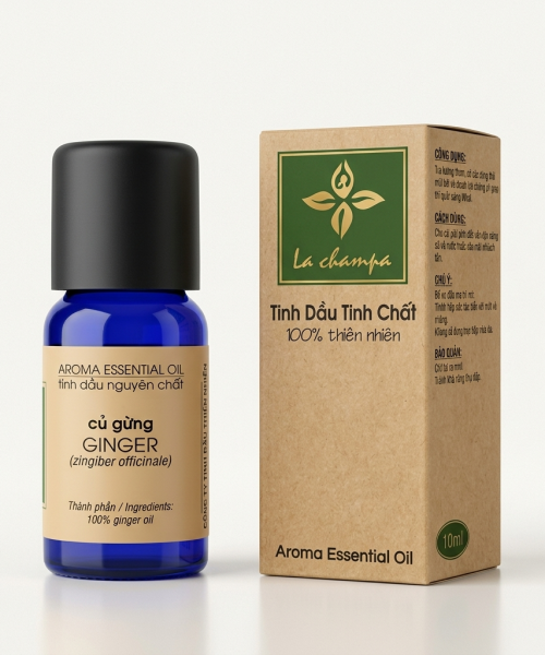 Tinh Dầu Củ Gừng