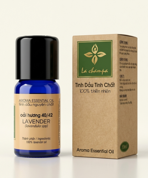 Hoa Oải Hương 40/42 